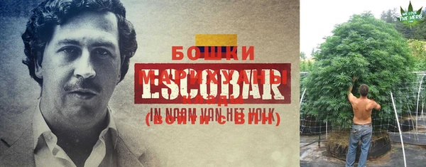 COCAINE Абаза